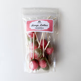 Large Lollies: Sour Watermelon - 12ct